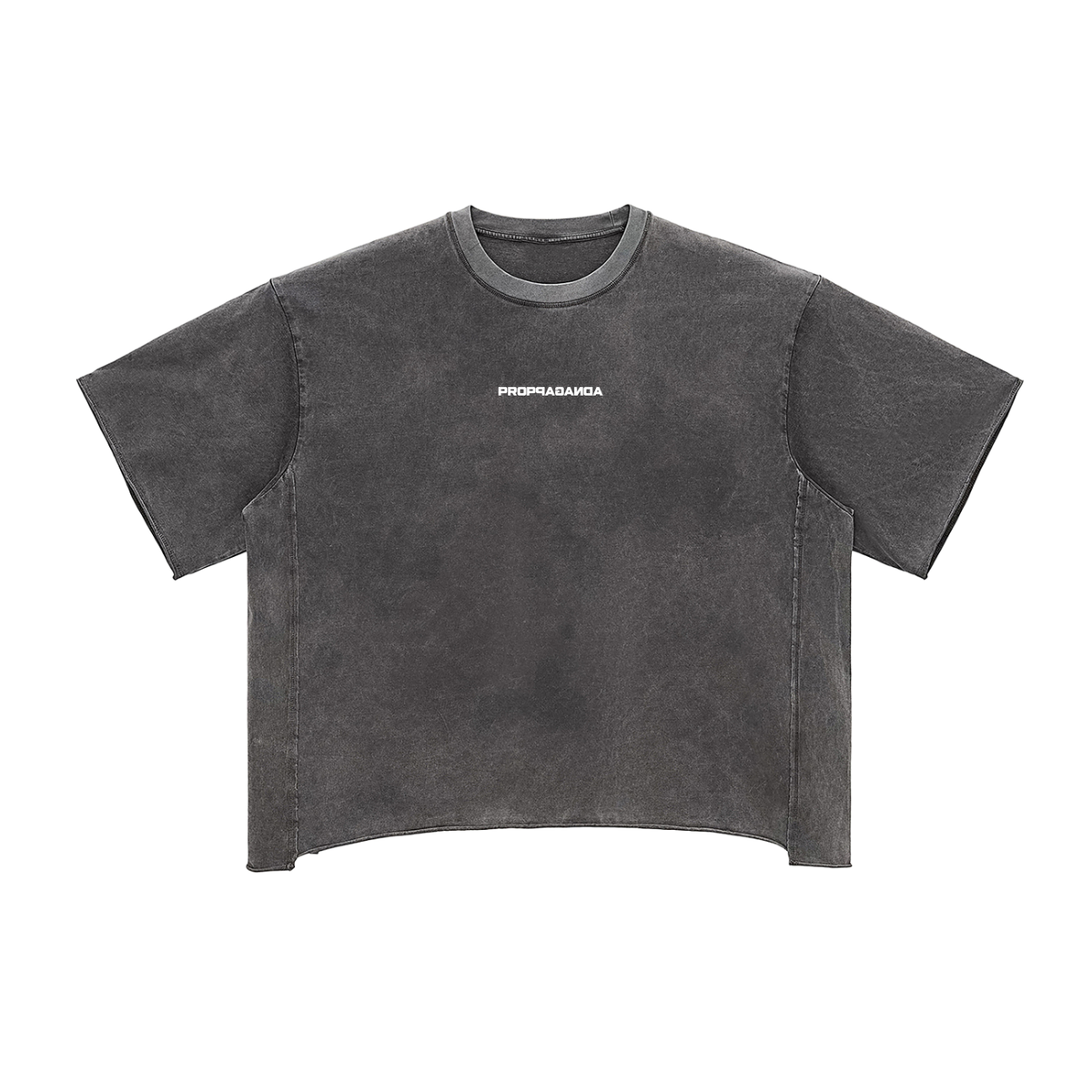 Proppaganda Snow Washed Boxy T-Shirt